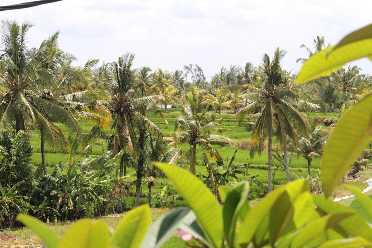 Villa Bungsil Gading Ubud  Bagian luar foto
